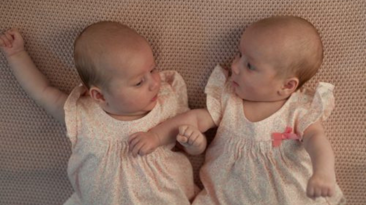 ivf twins