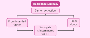 traditional surrogacy