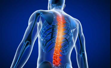 Spine and Joint Surgery in India