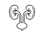 Renal Surgery