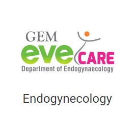 Endogynecology