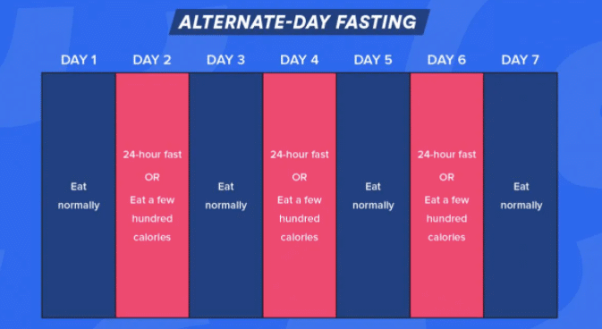 Alternative Day Fasting Techniques to Lose Weight