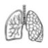 Lungs Cancer