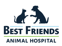 Best Friends Animal HOSPITAL - veterinary hospital in the World-min