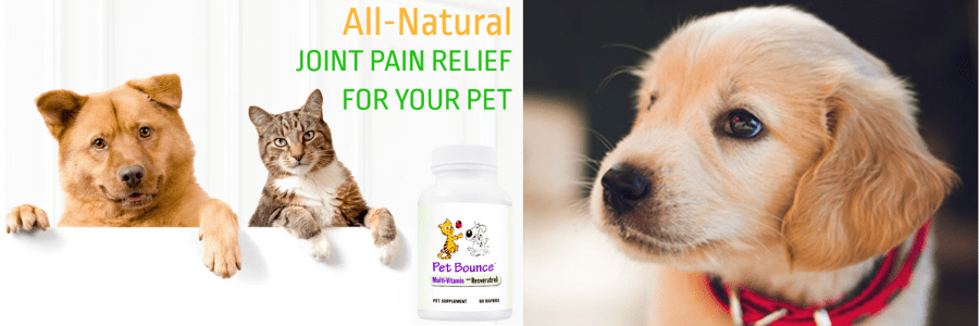 JOINT PAIN RELIEF FOR YOUR PET - Arthritis and Joint Pain Relief