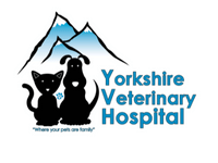 YORKSHIRE VETERINARY HOSPITAL - veterinary hospital in the World-min