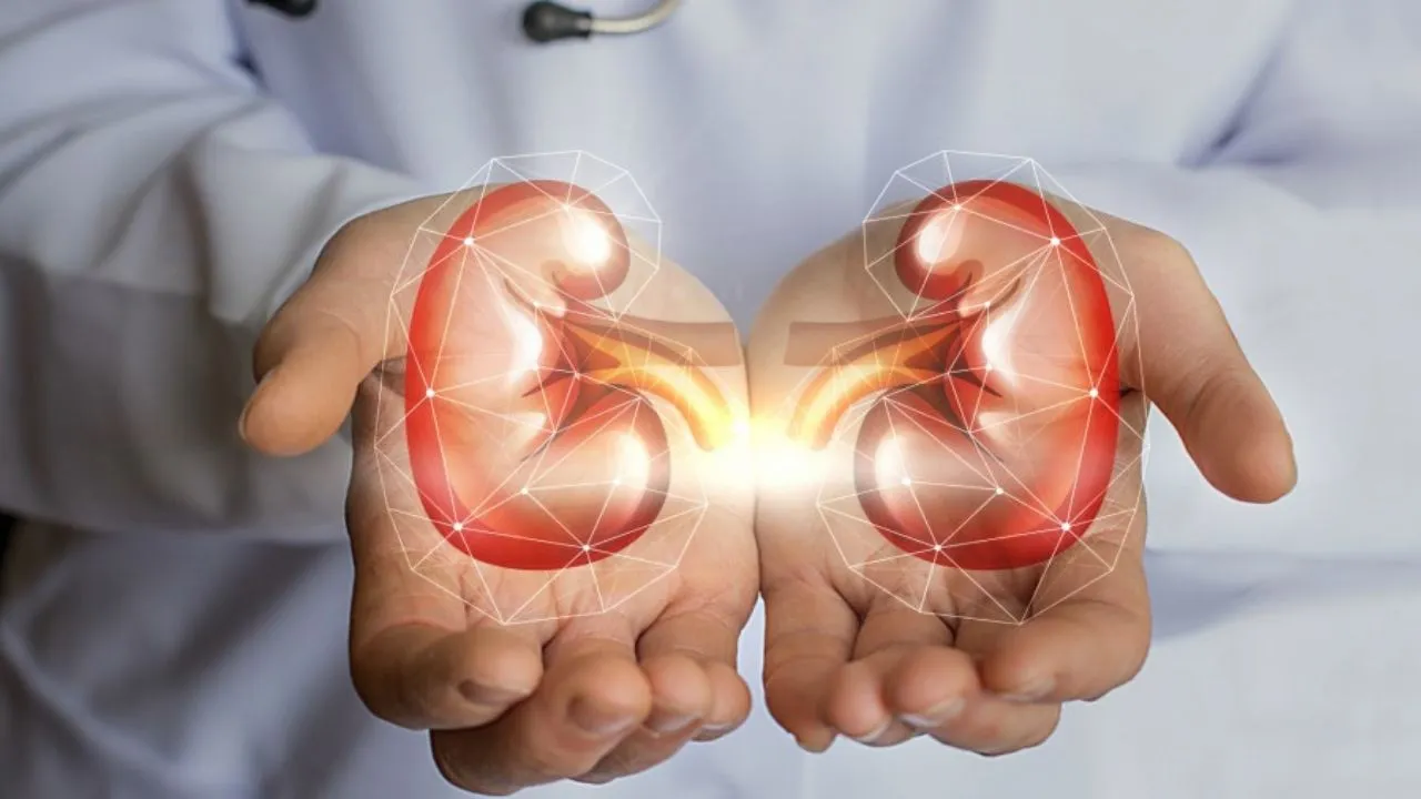 SYMPTOMS OF KNEE PAIN 8