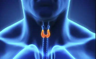 Endrocine Surgery In India