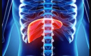 Liver Surgery In India