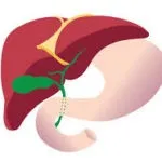 Liver Transplant Logo