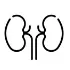 Nephrology
