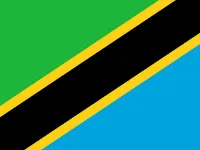 Tanzania Flags to represent medical tourism consultation Tanzania patients