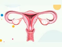 Gynaecologic Oncology